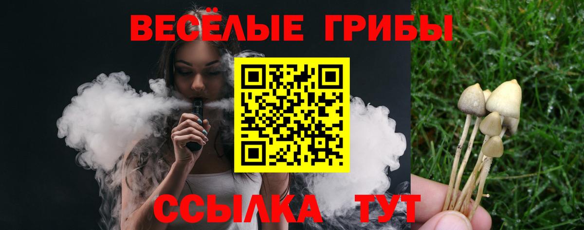 Хасавюрт  Псилоцибиновые грибы Cubensis  Вход с VPN 